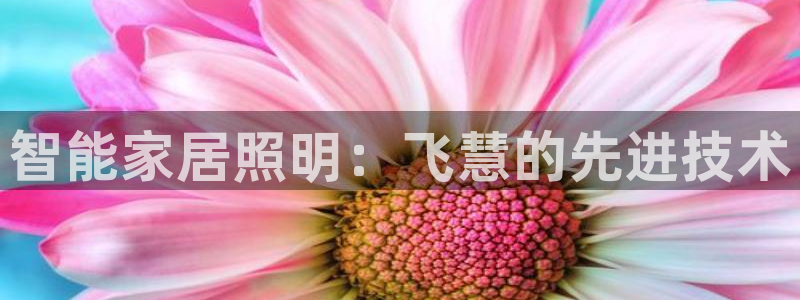 云顶国际期临沭在哪