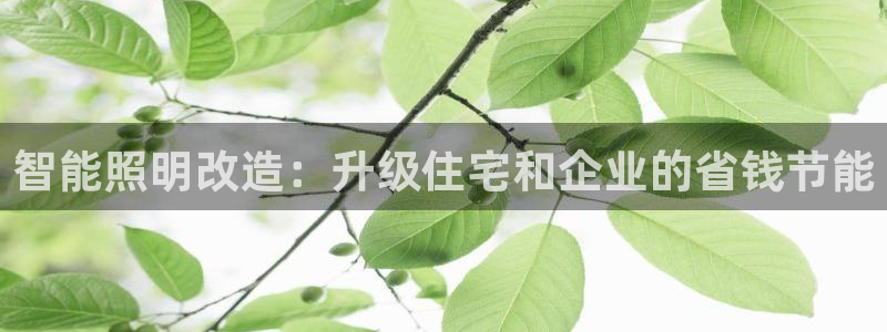 云顶国际培训中心电话