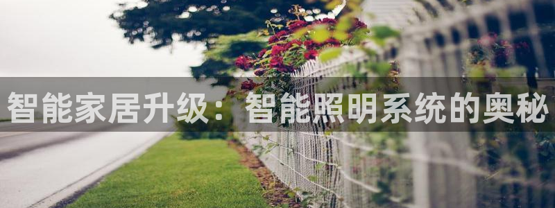 云顶国际下载地址