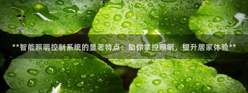 云顶国际官网app下载安卓