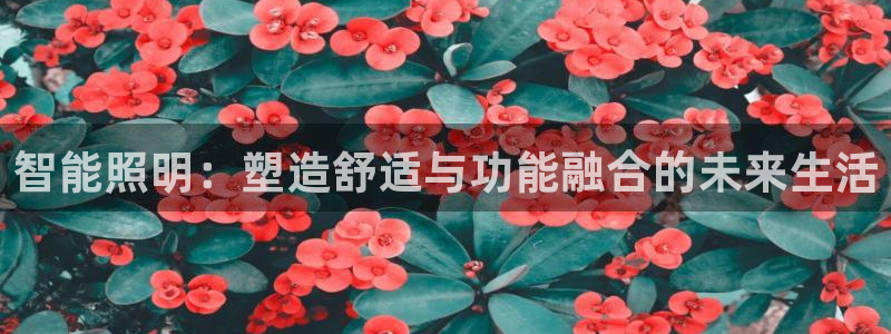 云顶国际nba智库