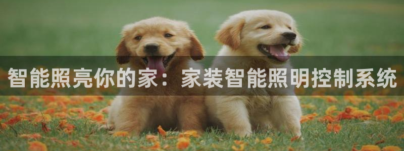 云顶12300线路