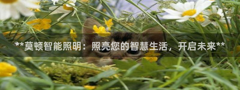 云顶2020