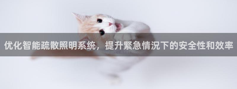 云顶集团有限公司简介地址