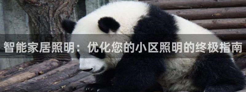 云顶集团3118