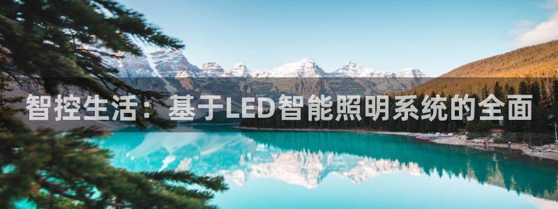 云顶集团简介概况