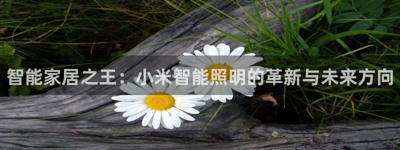 云顶国际提现