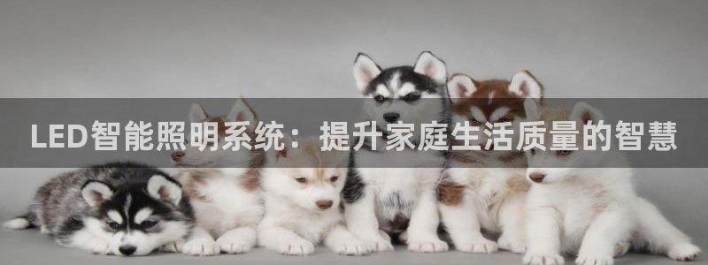 云顶28官网下载