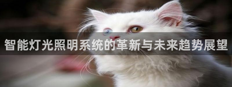云顶国际电子游戏