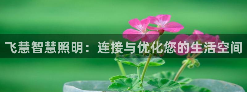 云顶国际游戏平台有哪些
