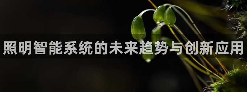 云顶集团董事长是谁