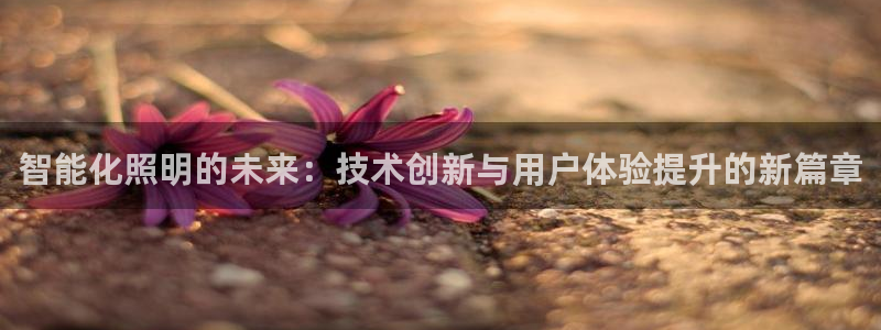 云顶手游国际版