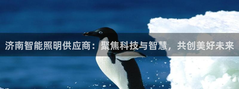 云顶国际属于哪个社区：济南智能照明供应商