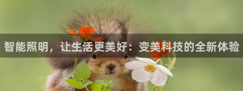 云顶国际app免费下载安卓