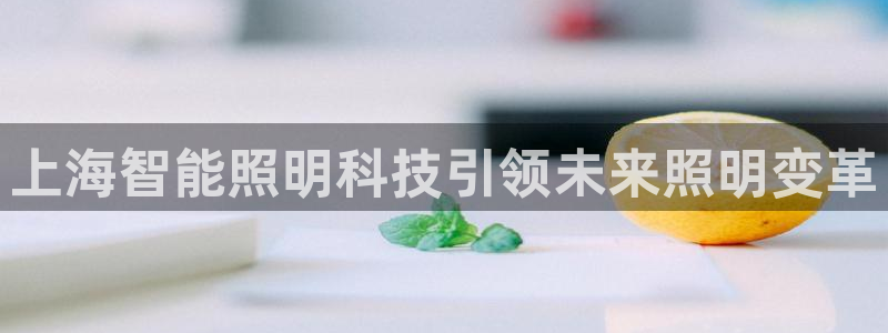 云顶国际--行业领导品牌：上海智能照明科