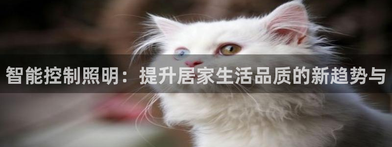 云顶集团招聘