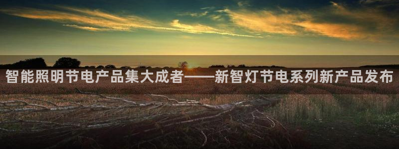 云顶国际取款多久到账户