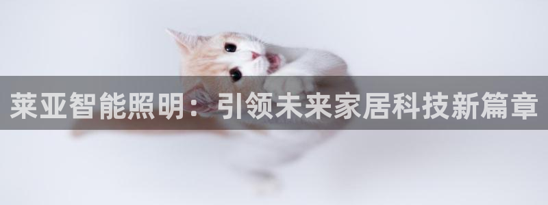 云顶国际登录：莱亚智能照明：引领未来家居
