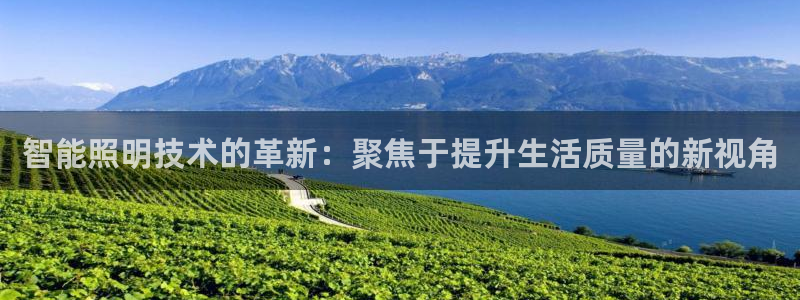 云顶国际房地产有限公司