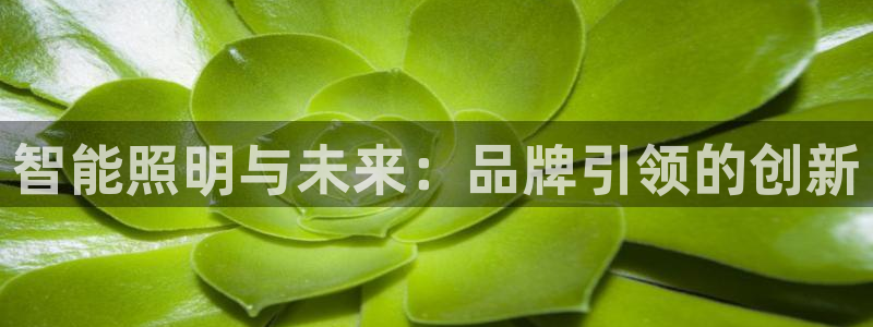 云顶最新线路检测