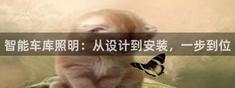 云顶集团3118app功能