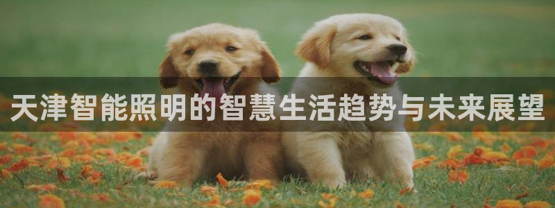 云顶国际麻将胡了几张牌