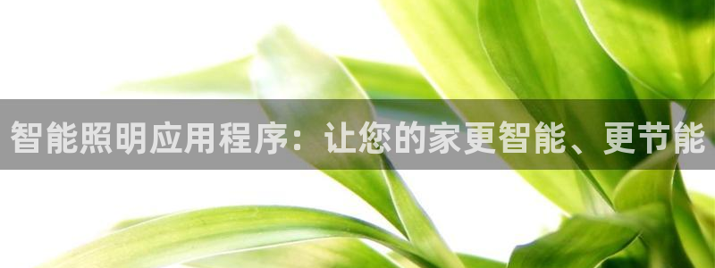 云顶国际软件官网下载