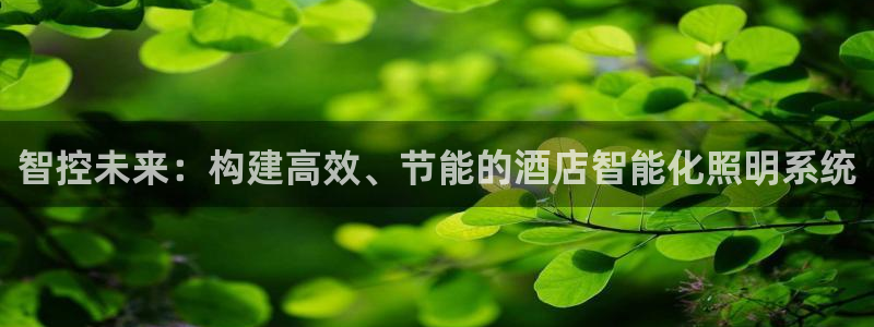 云顶国际装饰设计怎么样