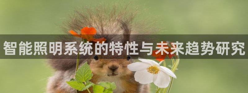 云顶国际商务会所电话